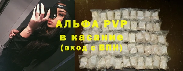 метадон Богданович