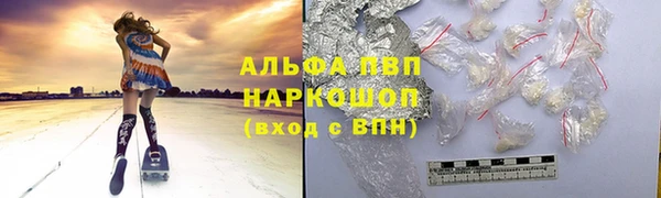 метадон Богданович