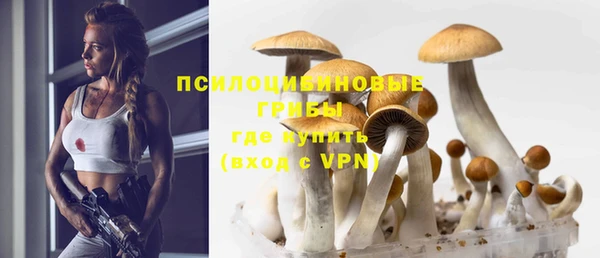 метадон Богданович