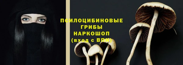 метадон Богданович