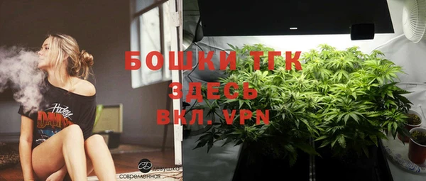 ALPHA-PVP Богородицк