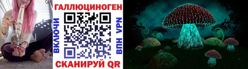 мега ONION  наркошоп  Самара  Псилоцибиновые грибы Cubensis 